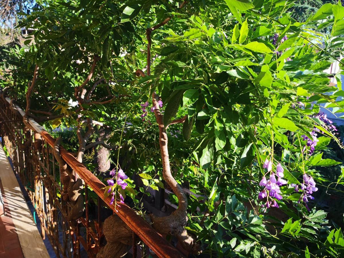 San Nicolo Gerrei Zia Chiarina B&B 외부 사진