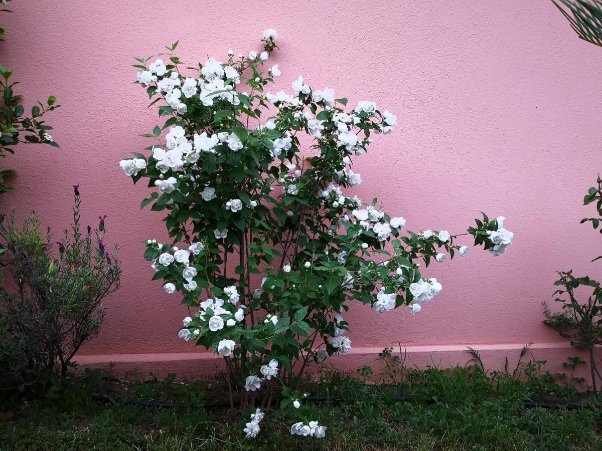 San Nicolo Gerrei Zia Chiarina B&B 외부 사진