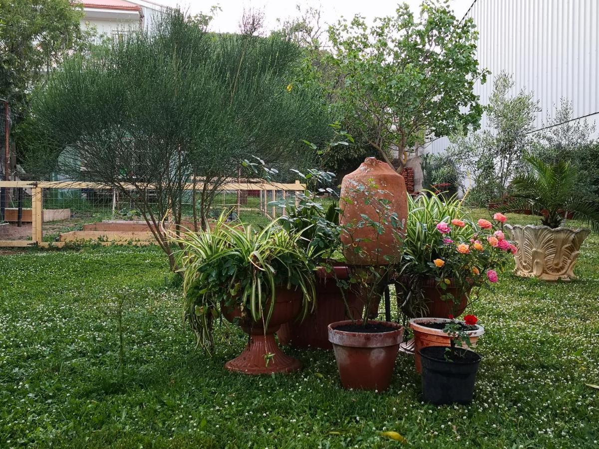 San Nicolo Gerrei Zia Chiarina B&B 외부 사진