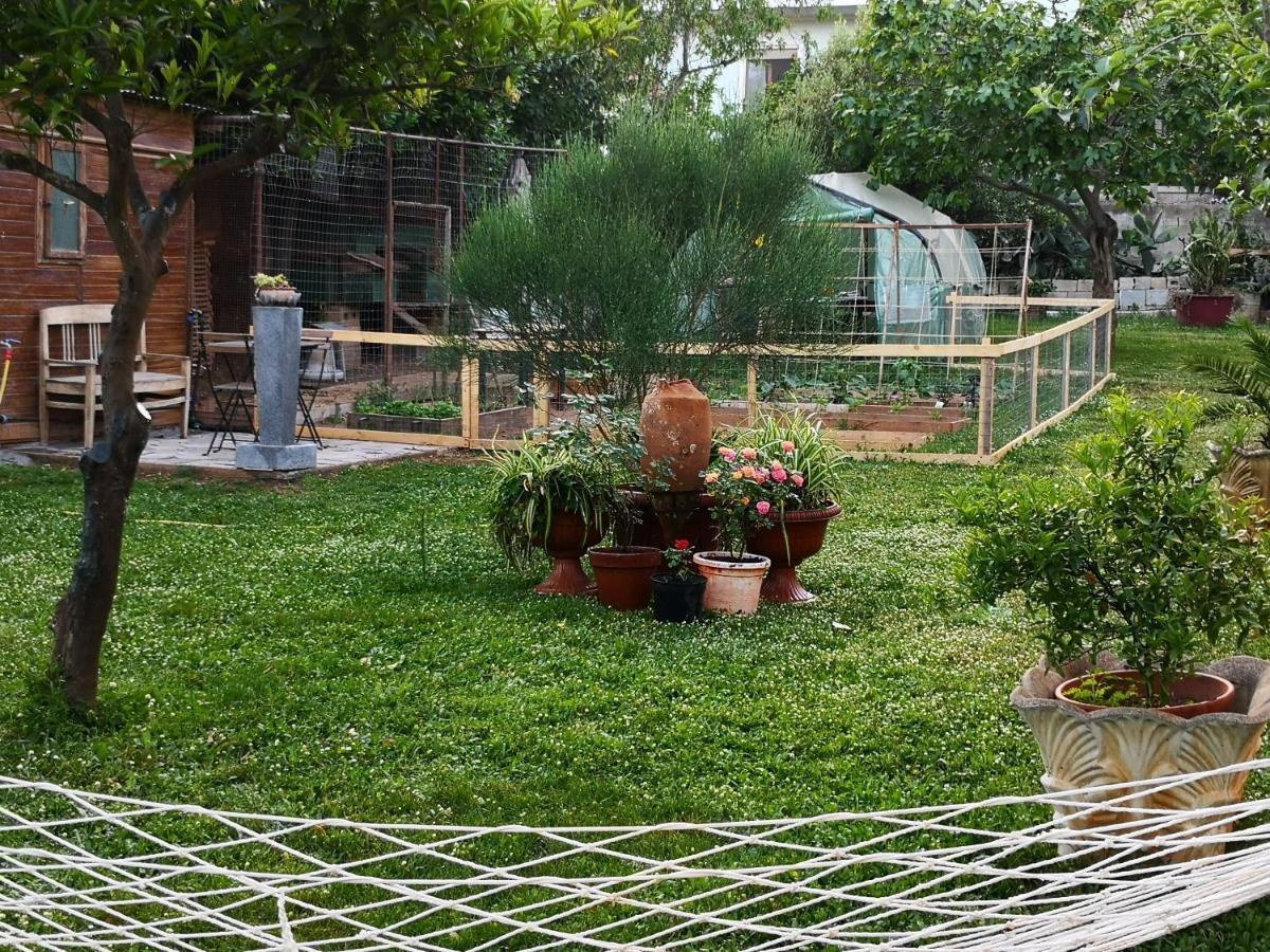 San Nicolo Gerrei Zia Chiarina B&B 외부 사진