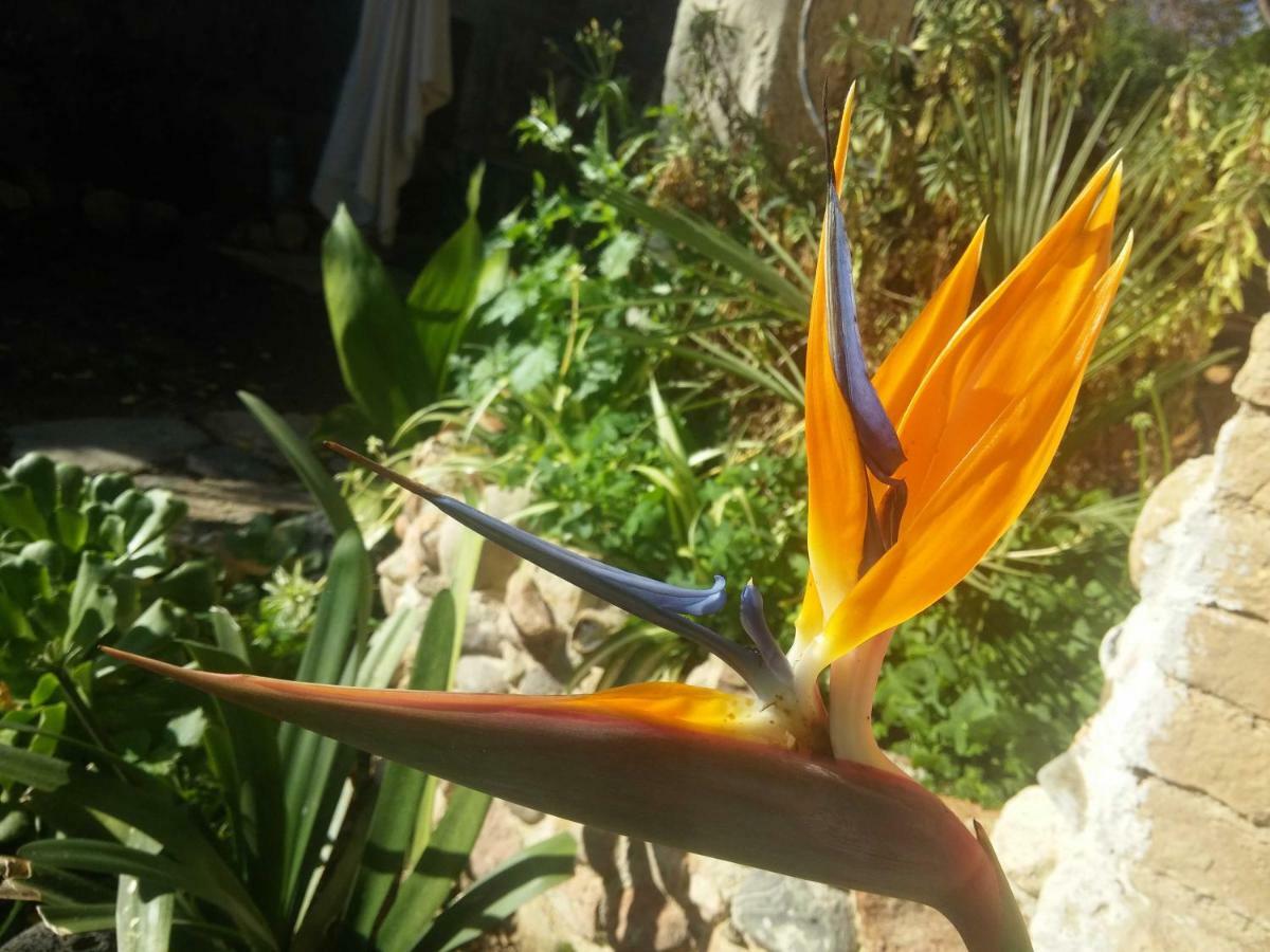 San Nicolo Gerrei Zia Chiarina B&B 외부 사진