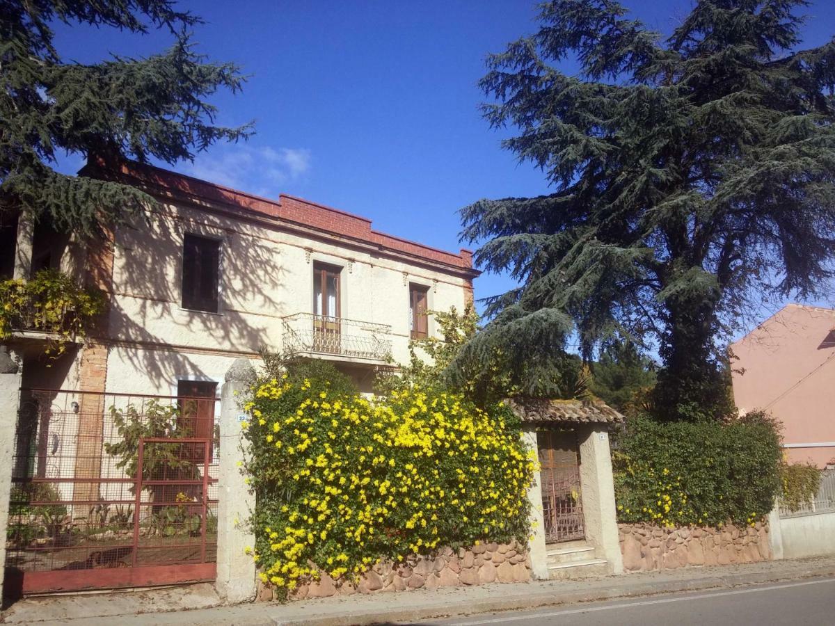 San Nicolo Gerrei Zia Chiarina B&B 외부 사진