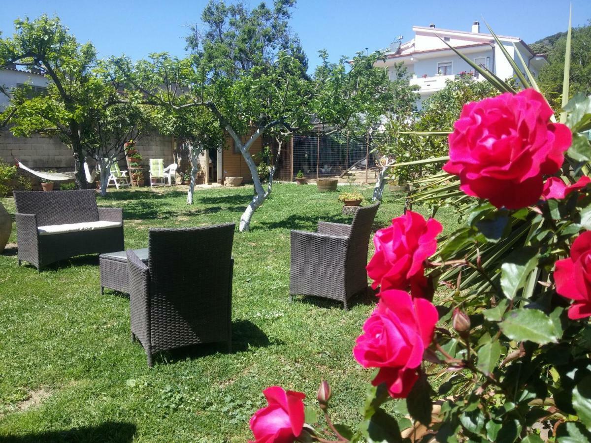 San Nicolo Gerrei Zia Chiarina B&B 외부 사진