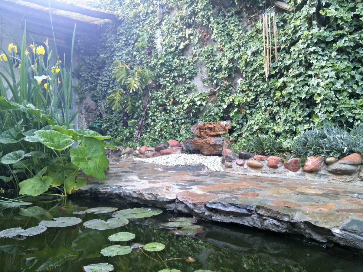 San Nicolo Gerrei Zia Chiarina B&B 외부 사진