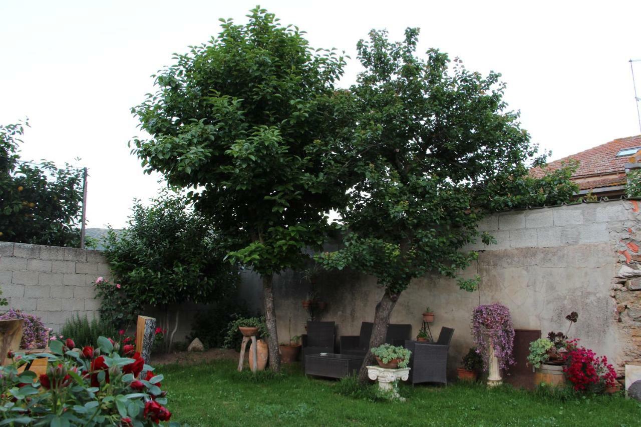 San Nicolo Gerrei Zia Chiarina B&B 외부 사진