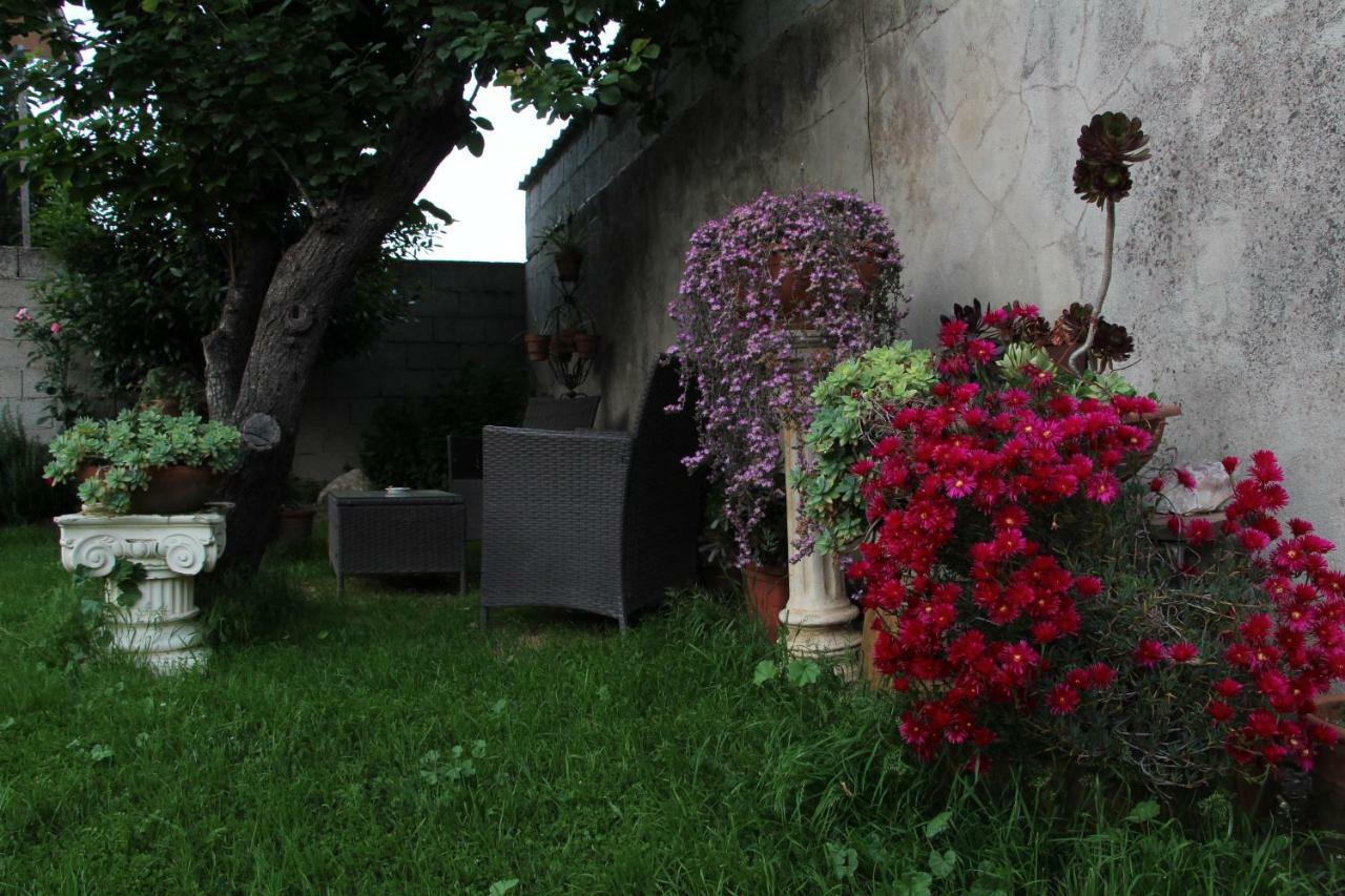 San Nicolo Gerrei Zia Chiarina B&B 외부 사진
